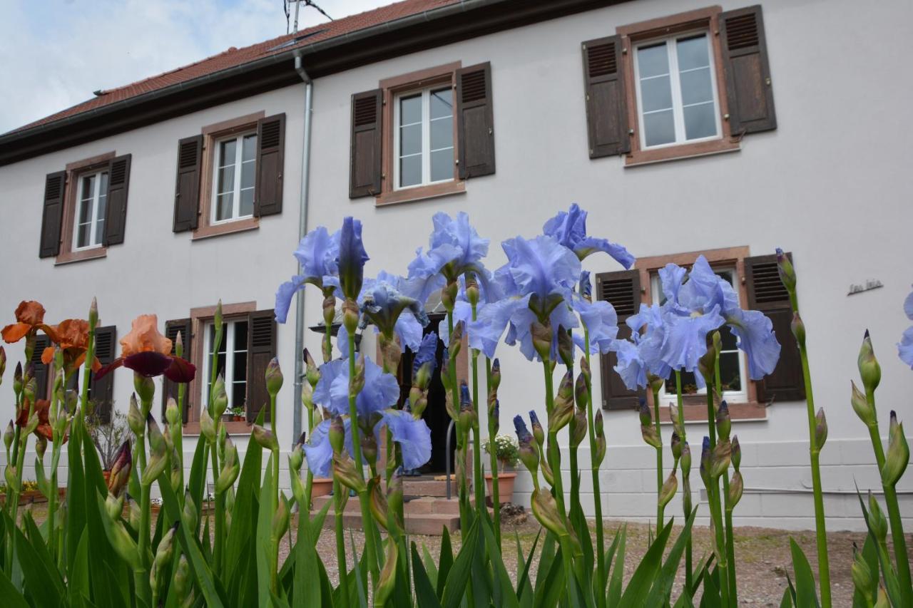 Ferme Les Iris Apartment Issenheim ภายนอก รูปภาพ
