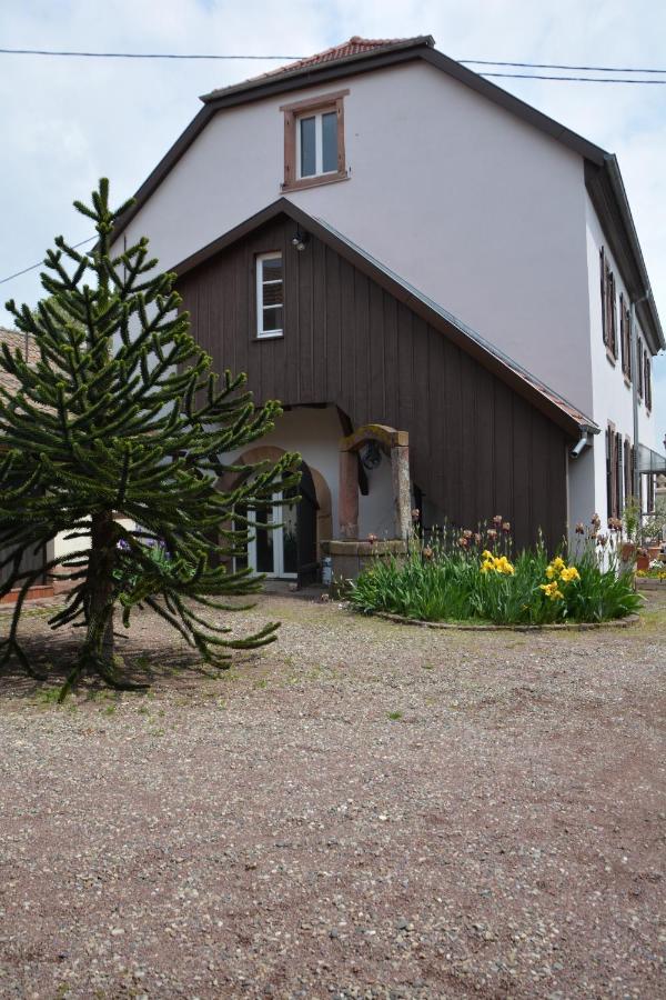 Ferme Les Iris Apartment Issenheim ภายนอก รูปภาพ